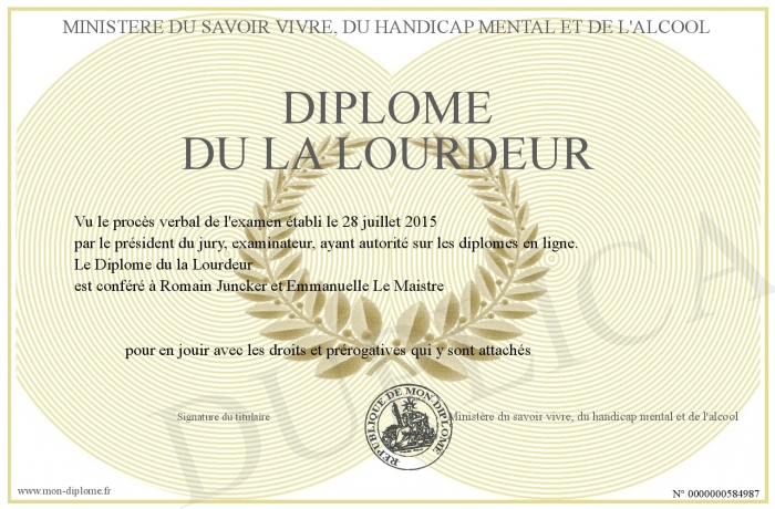 diplome universitaire handicap mental